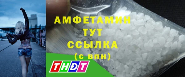 ГАЛЛЮЦИНОГЕННЫЕ ГРИБЫ Белокуриха