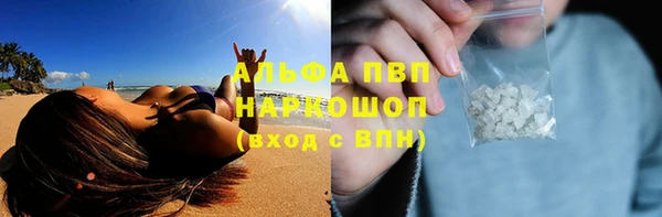 ГАЛЛЮЦИНОГЕННЫЕ ГРИБЫ Белокуриха