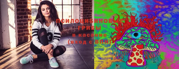 ГАЛЛЮЦИНОГЕННЫЕ ГРИБЫ Белокуриха