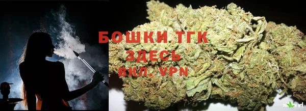 ГАЛЛЮЦИНОГЕННЫЕ ГРИБЫ Белокуриха