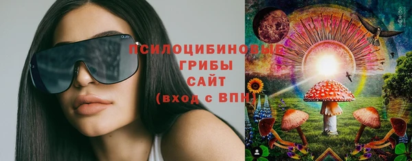 ГАЛЛЮЦИНОГЕННЫЕ ГРИБЫ Белокуриха