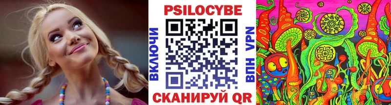 Псилоцибиновые грибы Psilocybine cubensis  Купить  Видное 